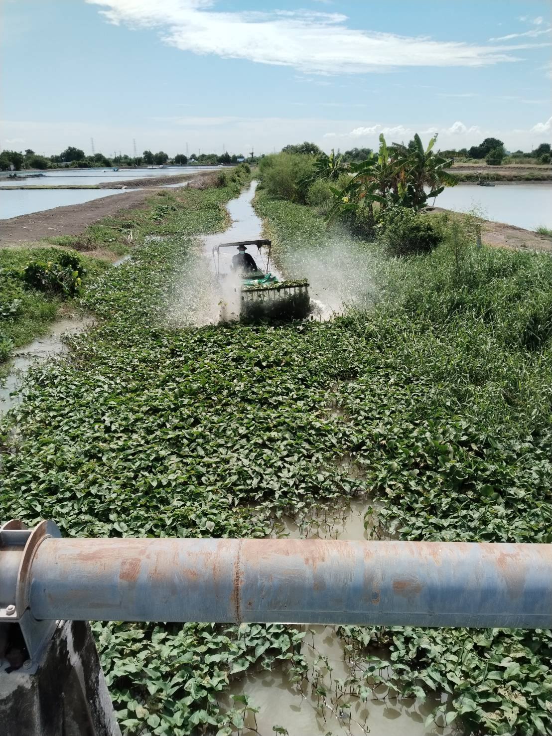 ปรับปรุงทัศนียภาพของลำคลอง และเพื่อความปลอดภัยของประชาชนที่สัญจรทางน้ำ